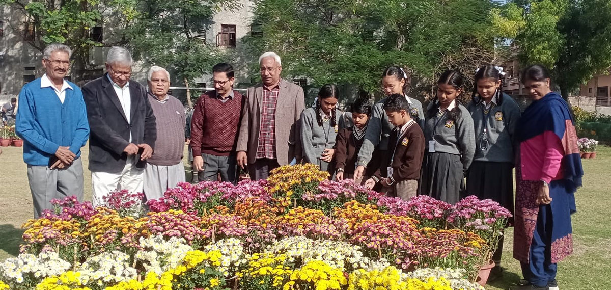 सर्वहितकारी स्कूल में होने वाले दूसरे गुलदाउदी शो की तैयारियां पूरी हो चुकी हैं